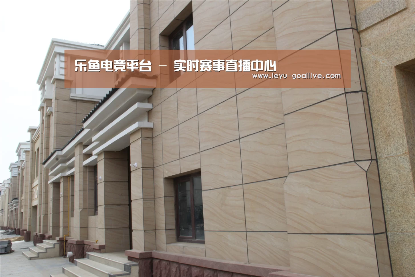 山东湖滨泰和公馆(图1)