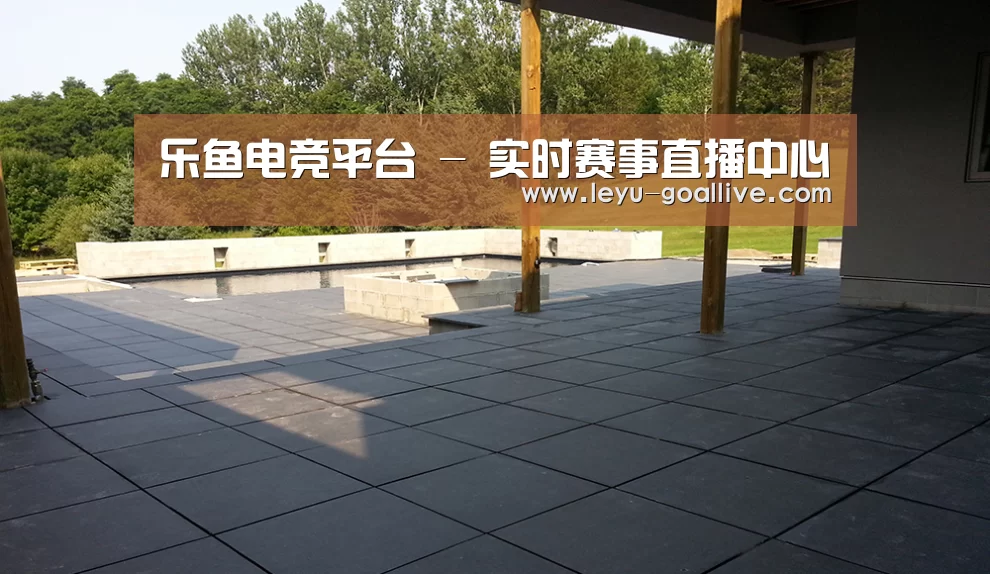 多伦多别墅花园(图2)
