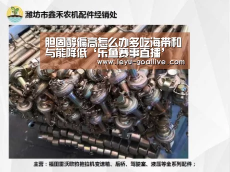 乐鱼篮球竞猜