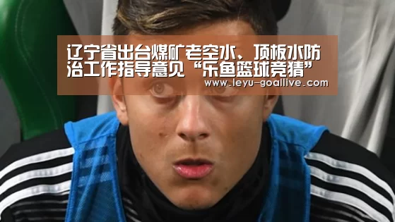 辽宁省出台煤矿老空水、顶板水防治工作指导意见“乐鱼篮球竞猜”(图1) 乐鱼体育APP