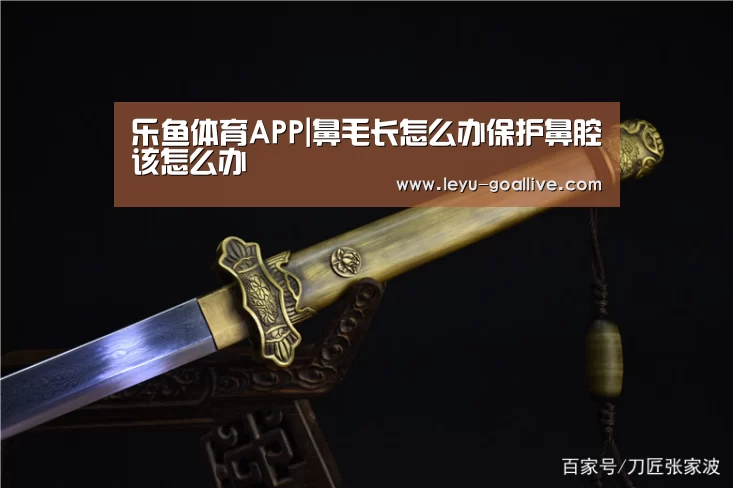 乐鱼体育APP|鼻毛长怎么办保护鼻腔该怎么办(图1) 乐鱼篮球竞猜
