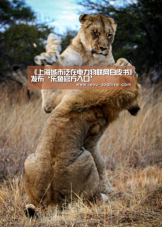 《上海城市泛在电力物联网白皮书》发布‘乐鱼官方入口’(图2) 乐鱼篮球竞猜