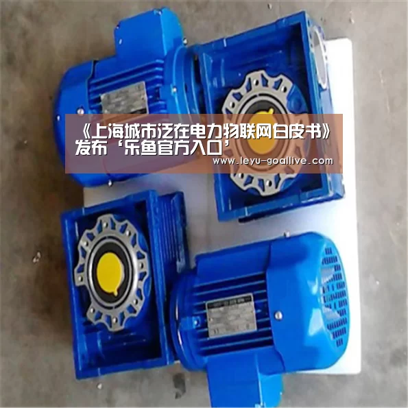 《上海城市泛在电力物联网白皮书》发布‘乐鱼官方入口’(图3) 乐鱼体育APP